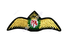 Wings Cap Badge