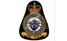 Air Force Gold Bullion Blazer Badge