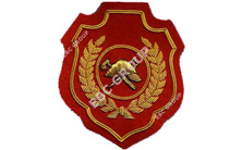 Fire Service Gold Bullion Wire Blazer Badges