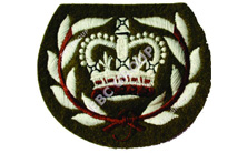 No. 1 Dress Embroidered Badges